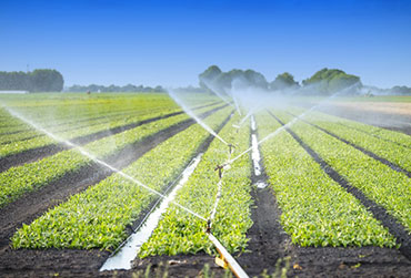 Sustainable Business