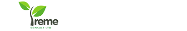 Ireme Consult
